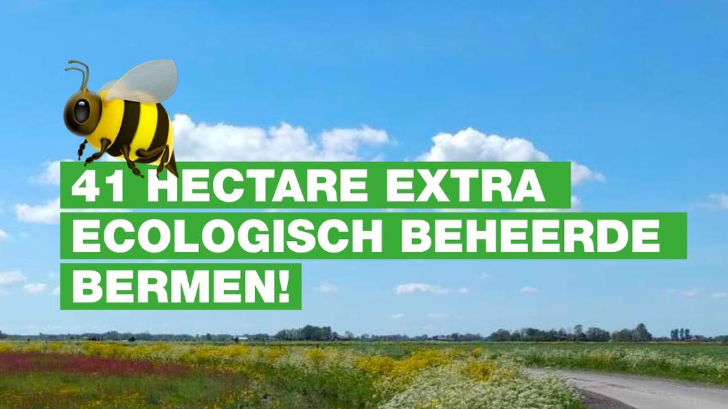 insectennetwerk