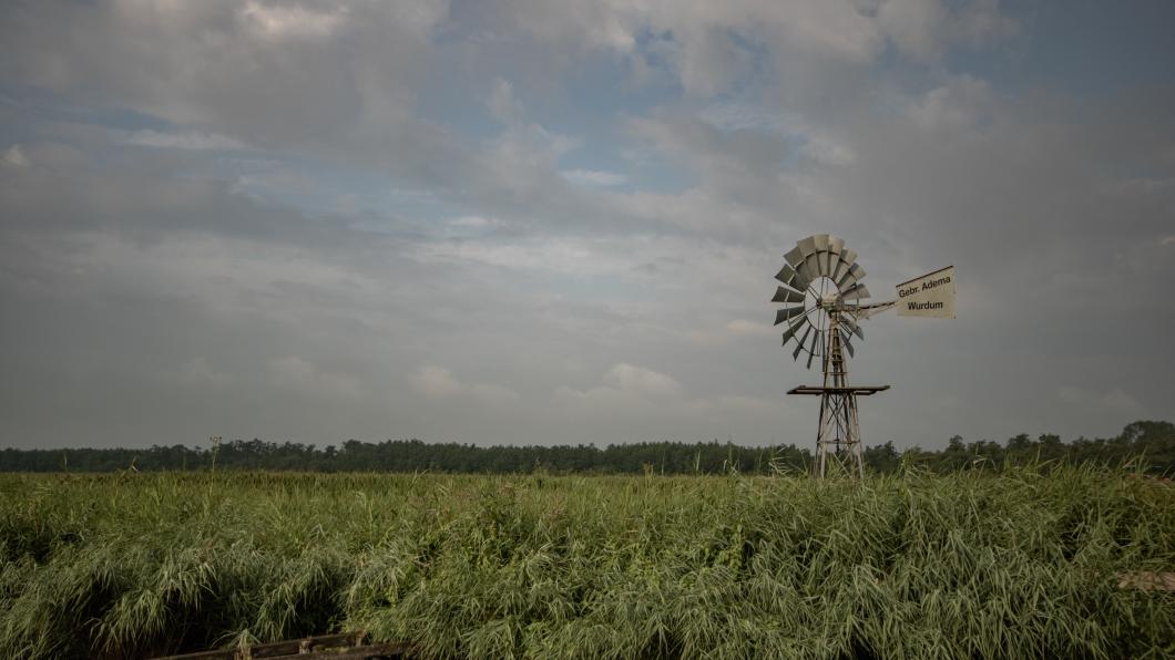 am molen 4.jpg