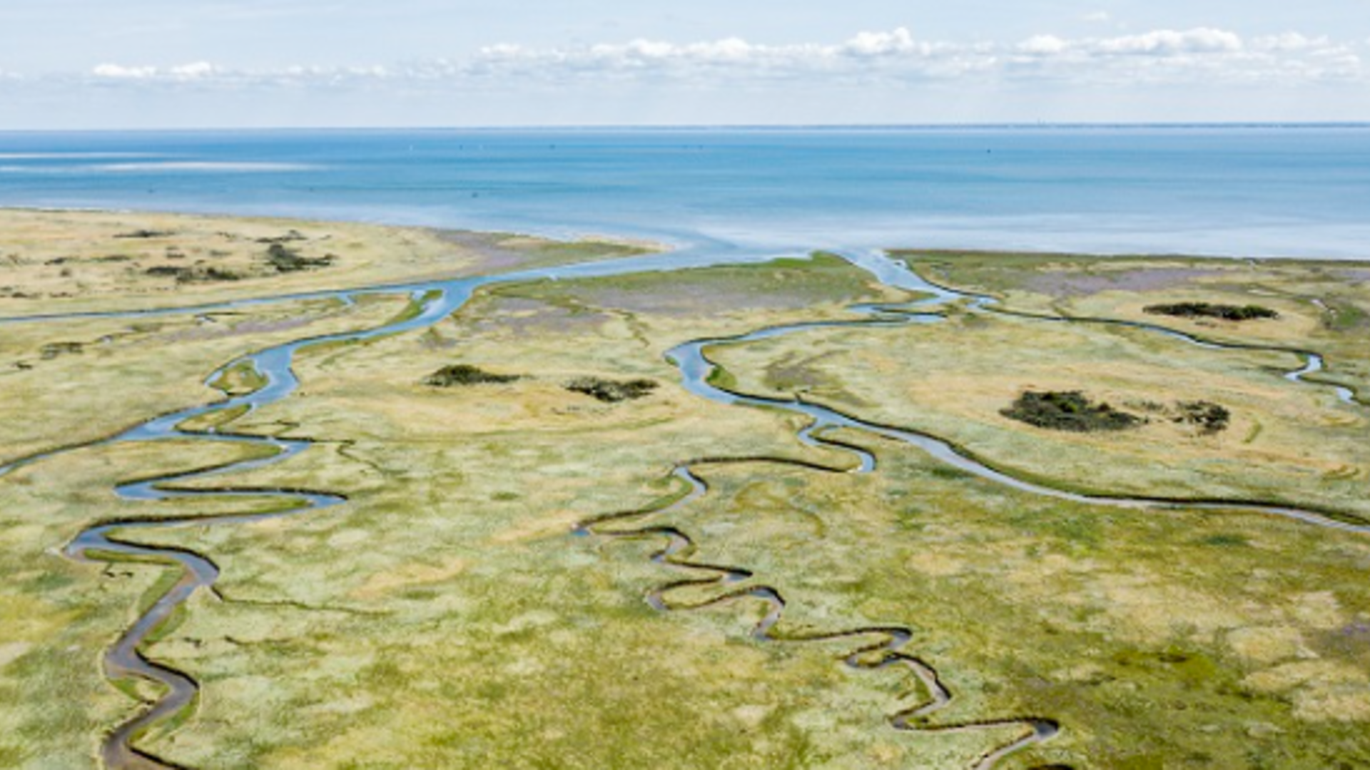 waddenzee met geulen